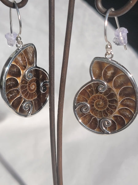 Ammonite Earring - Aimeescloset.com